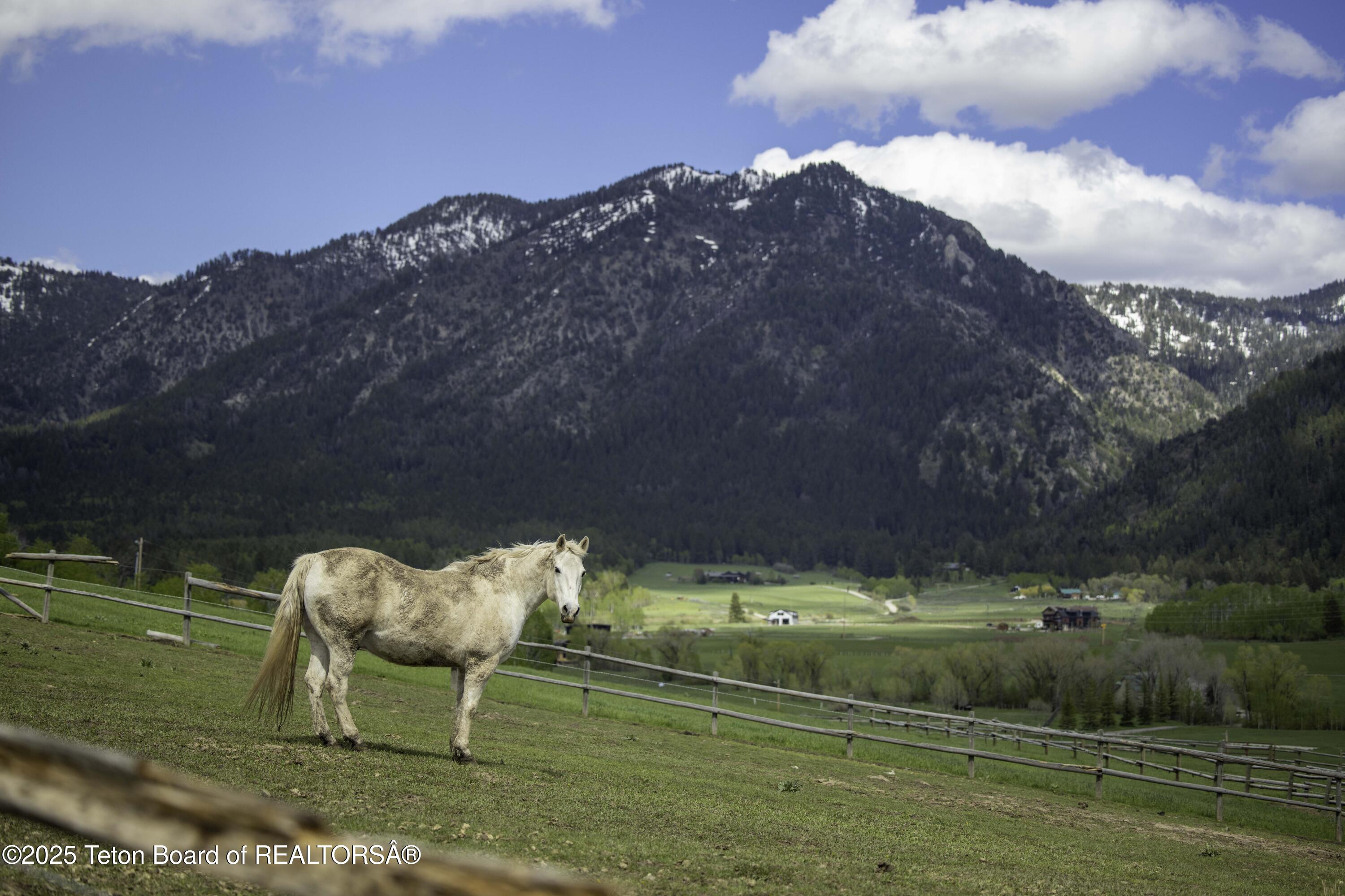 Lot 6 Mininger Road Alpine, WY 83128 - Photo 29 of 39 Web - Hidden Pines-30