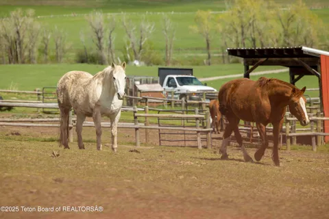 $450,000 | Lot 6 Mininger Road, Alpine, WY 83128