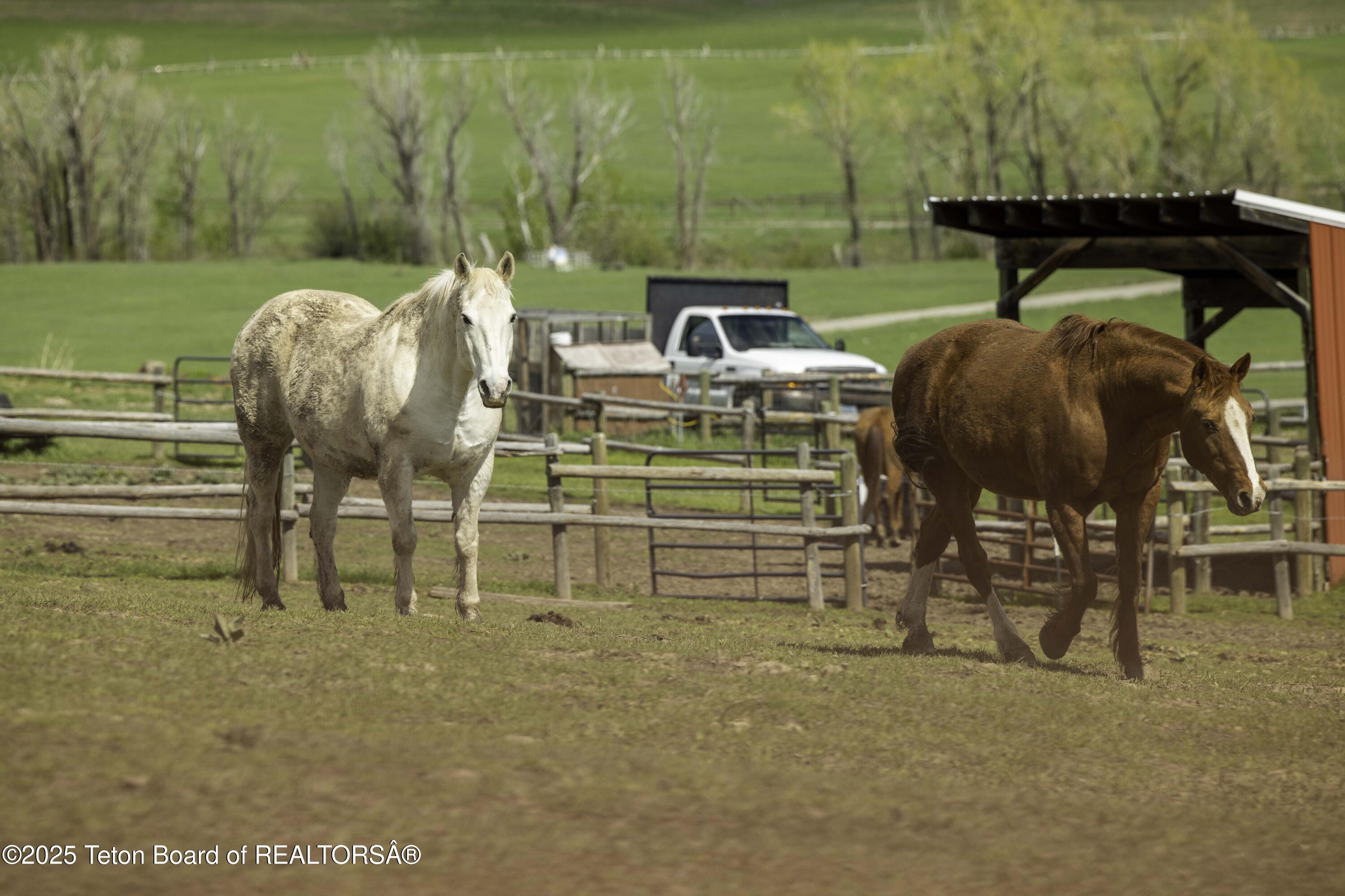 Lot 6 Mininger Road Alpine, WY 83128 - Photo 34 of 39 Web - Hidden Pines-35
