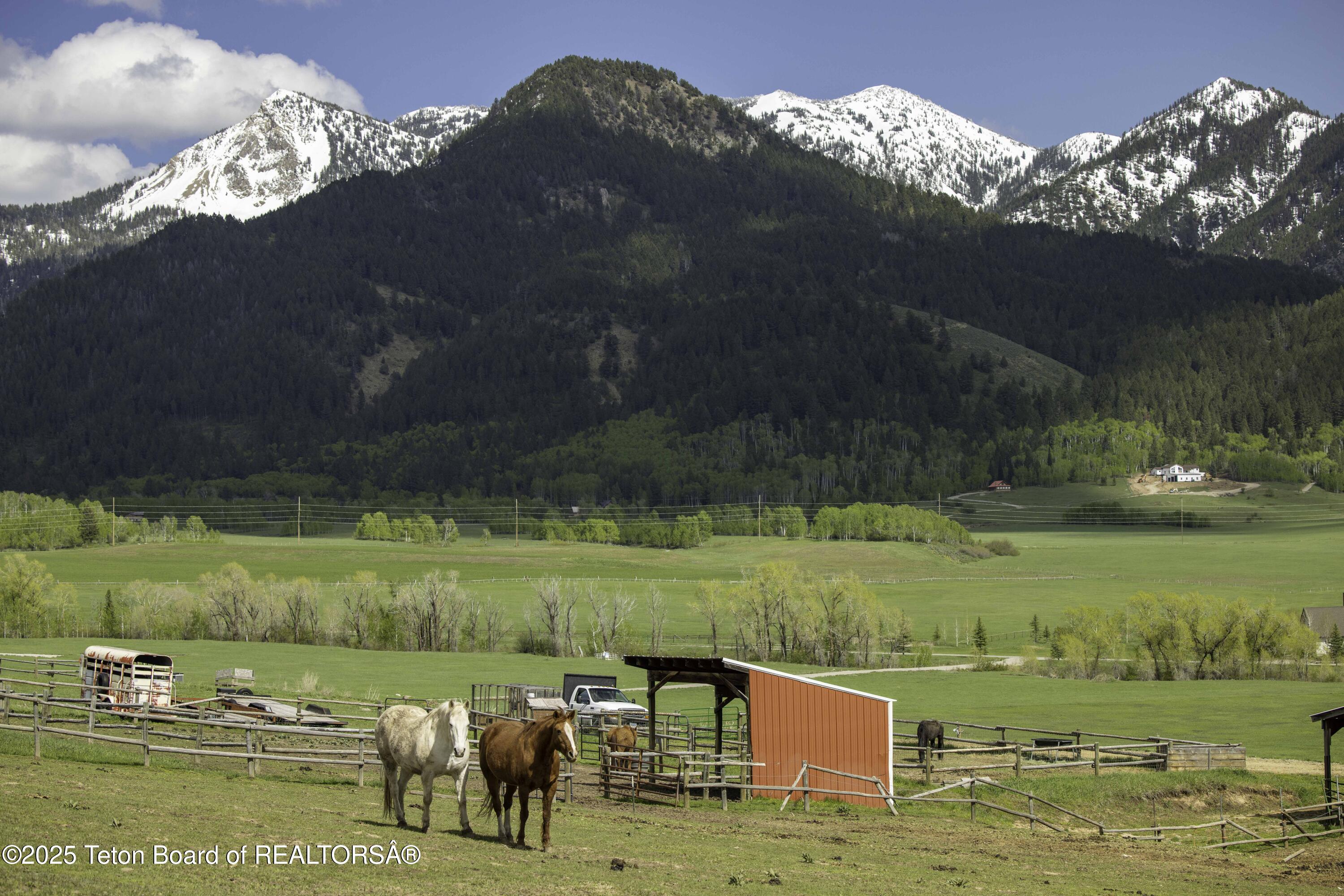 Lot 6 Mininger Road Alpine, WY 83128 - Photo 36 of 39 Web - Hidden Pines-37