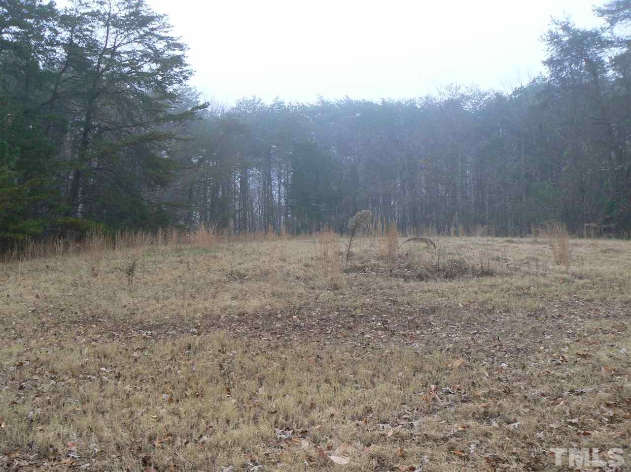 520 Community House Road Roxboro, NC 27574 - Photo 4 of 14