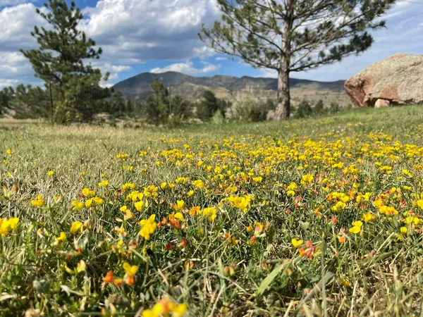 $1,475,000 | 294 Wedge Rock Drive, Lyons, CO 80540
