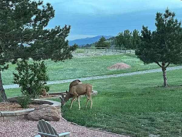 $1,475,000 | 294 Wedge Rock Drive, Lyons, CO 80540