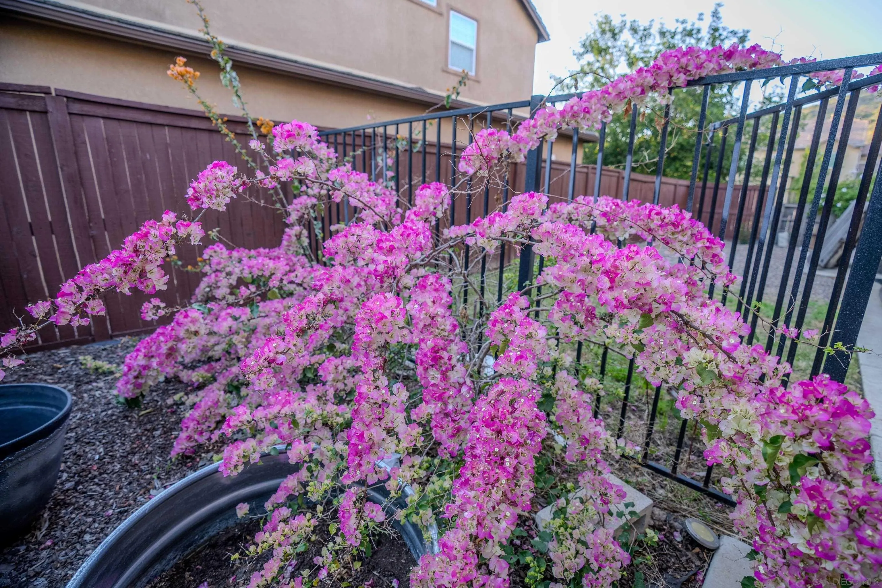 3283 Beven Drive Escondido, CA 92027 - Photo 51 of 64