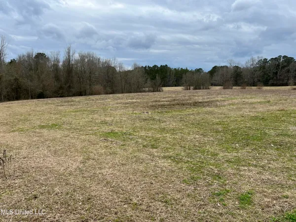 $249,900 | Armory Drive, Taylorsville, MS 39168