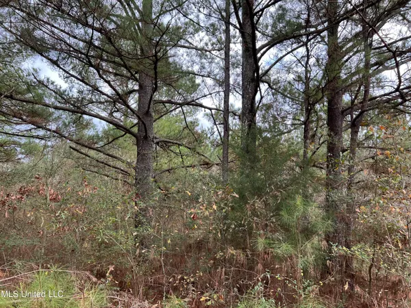 $249,900 | Armory Drive, Taylorsville, MS 39168