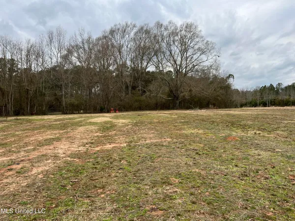 $249,900 | Armory Drive, Taylorsville, MS 39168