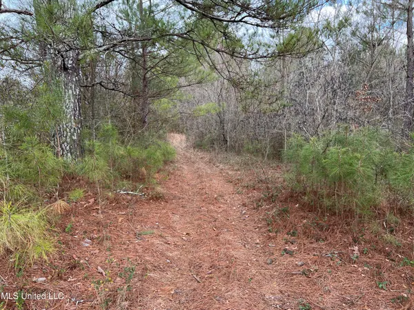 $249,900 | Armory Drive, Taylorsville, MS 39168