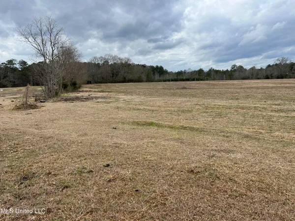 $249,900 | Armory Drive, Taylorsville, MS 39168