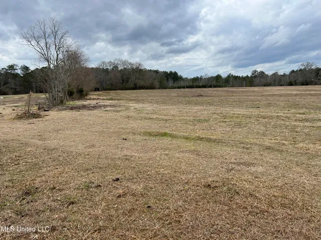 $249,900 | Armory Drive, Taylorsville, MS 39168