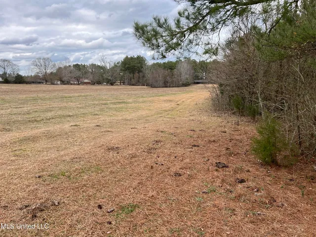 $249,900 | Armory Drive, Taylorsville, MS 39168