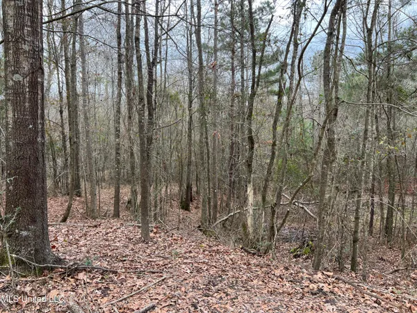 $249,900 | Armory Drive, Taylorsville, MS 39168
