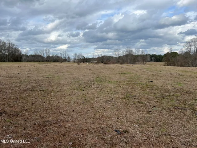 $249,900 | Armory Drive, Taylorsville, MS 39168