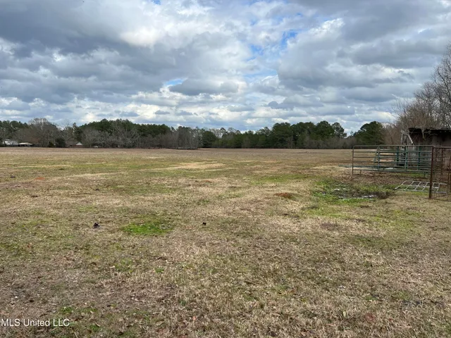 $249,900 | Armory Drive, Taylorsville, MS 39168