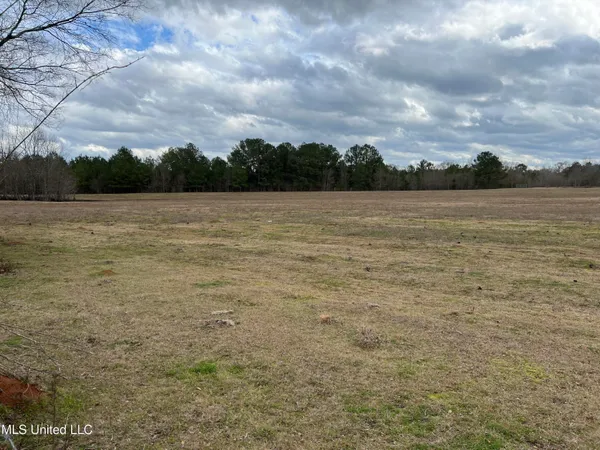 $249,900 | Armory Drive, Taylorsville, MS 39168