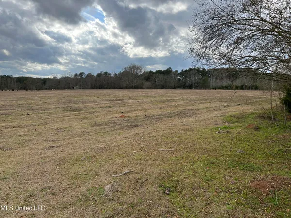 $249,900 | Armory Drive, Taylorsville, MS 39168