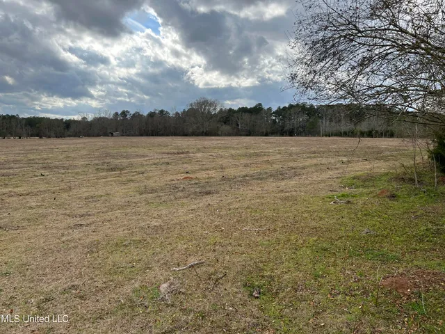 $249,900 | Armory Drive, Taylorsville, MS 39168