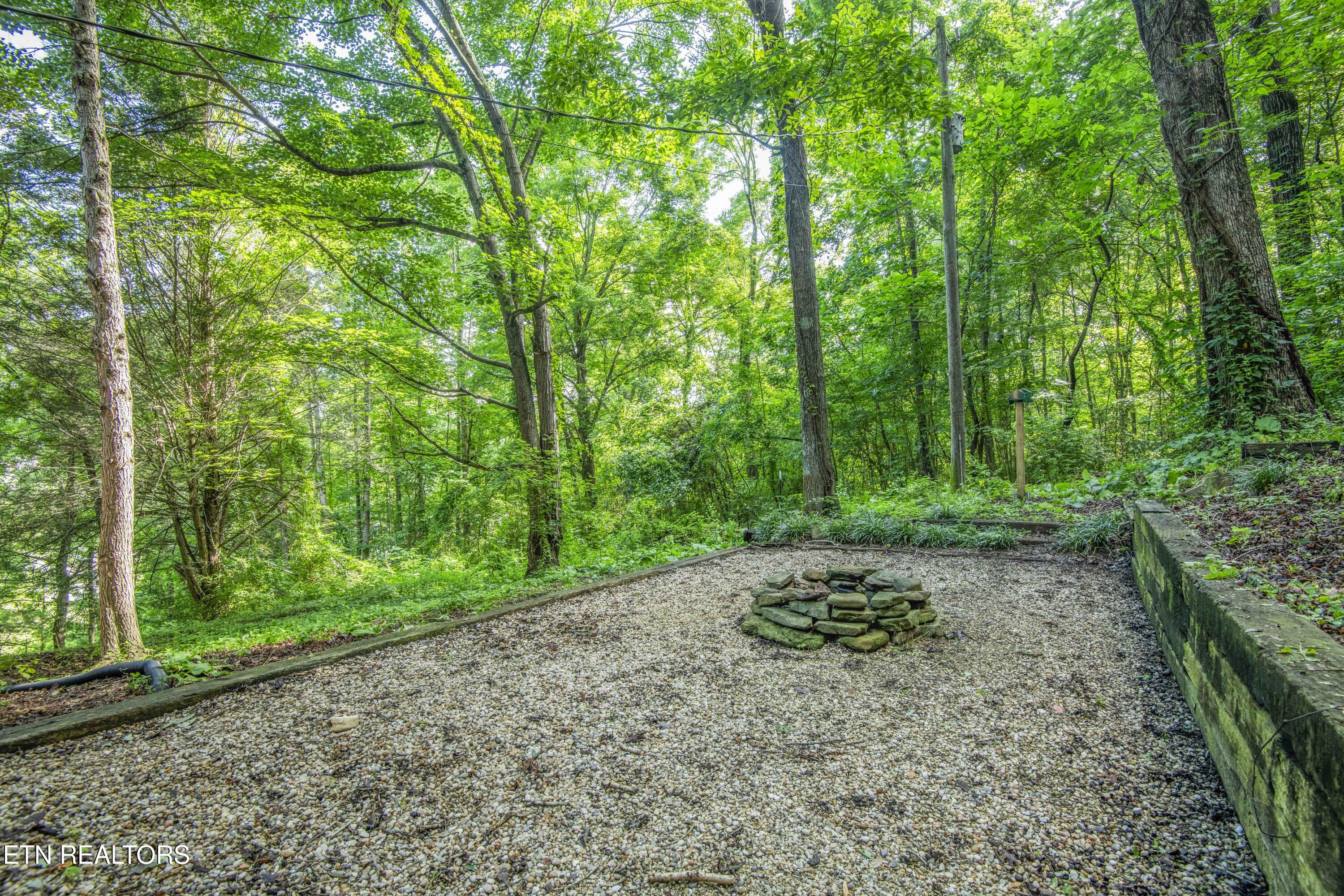 3110 Rifle Range Drive Knoxville, TN 37918 - Photo 40 of 53 yard 11_1