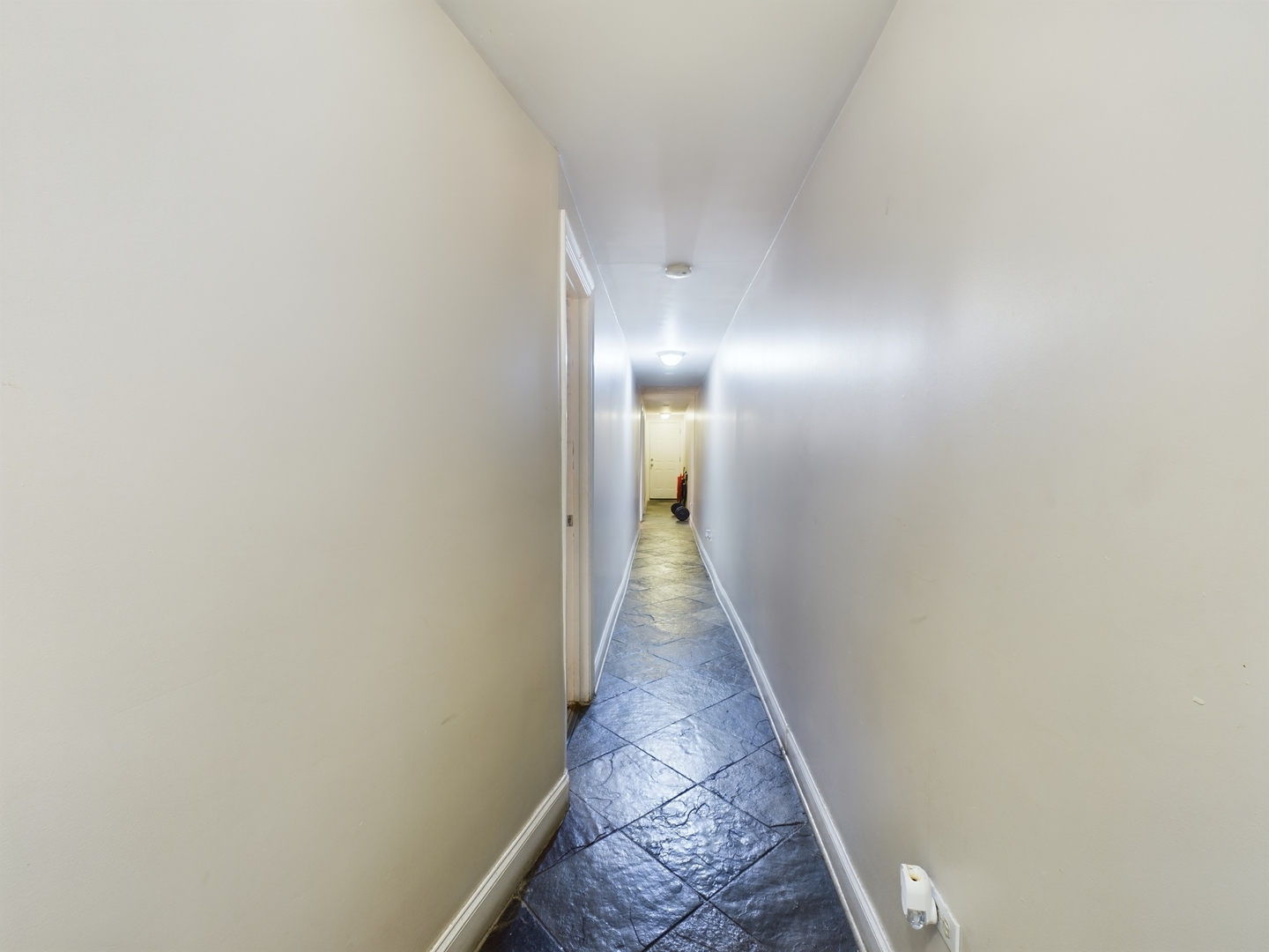 4207 South Indiana Avenue, Unit G Chicago, IL 60653 - Photo 4 of 19