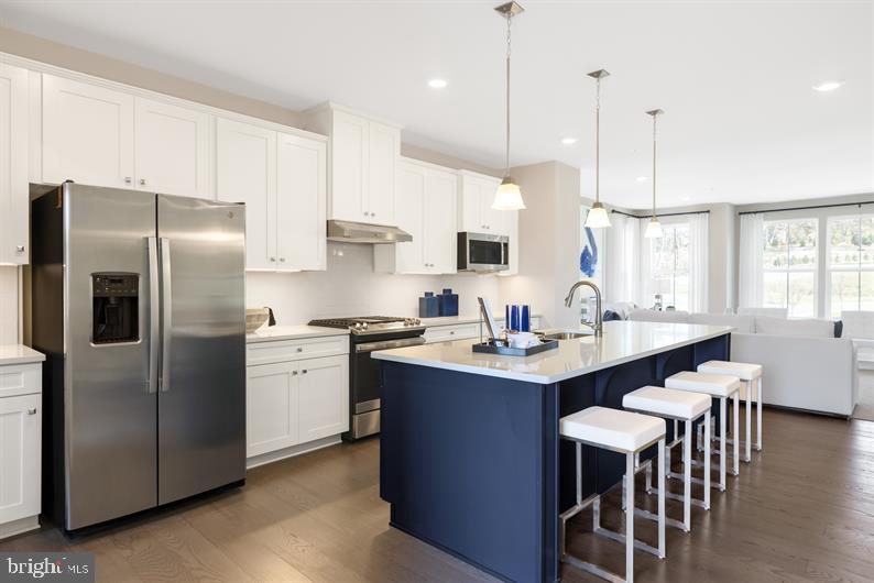 7892 Brandy Station Road, Unit SERENADE Hanover, MD 21076 - Photo 7 of 30 DREAM KITCHEN