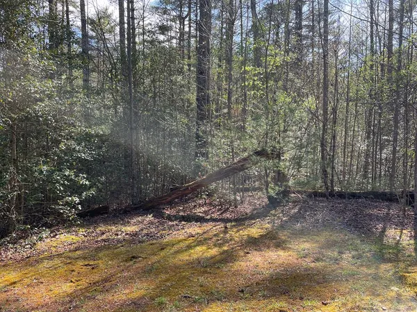 $29,500 | Lot 89 Spectacular, Hayesville, NC 28904