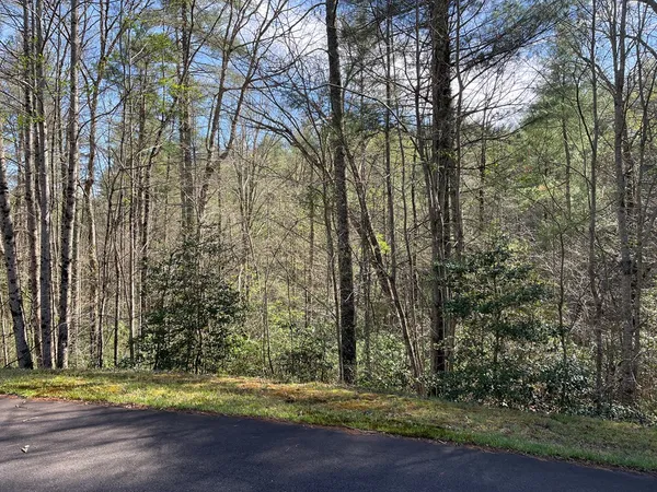a view of a yard with large trees