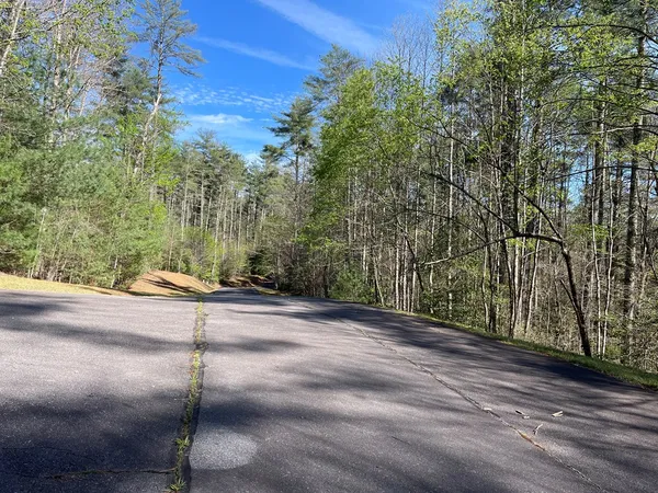 a view of a street with a trees