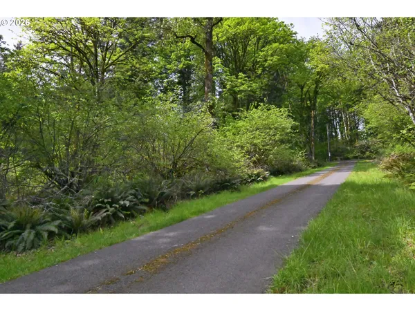 a view of a road with a yard