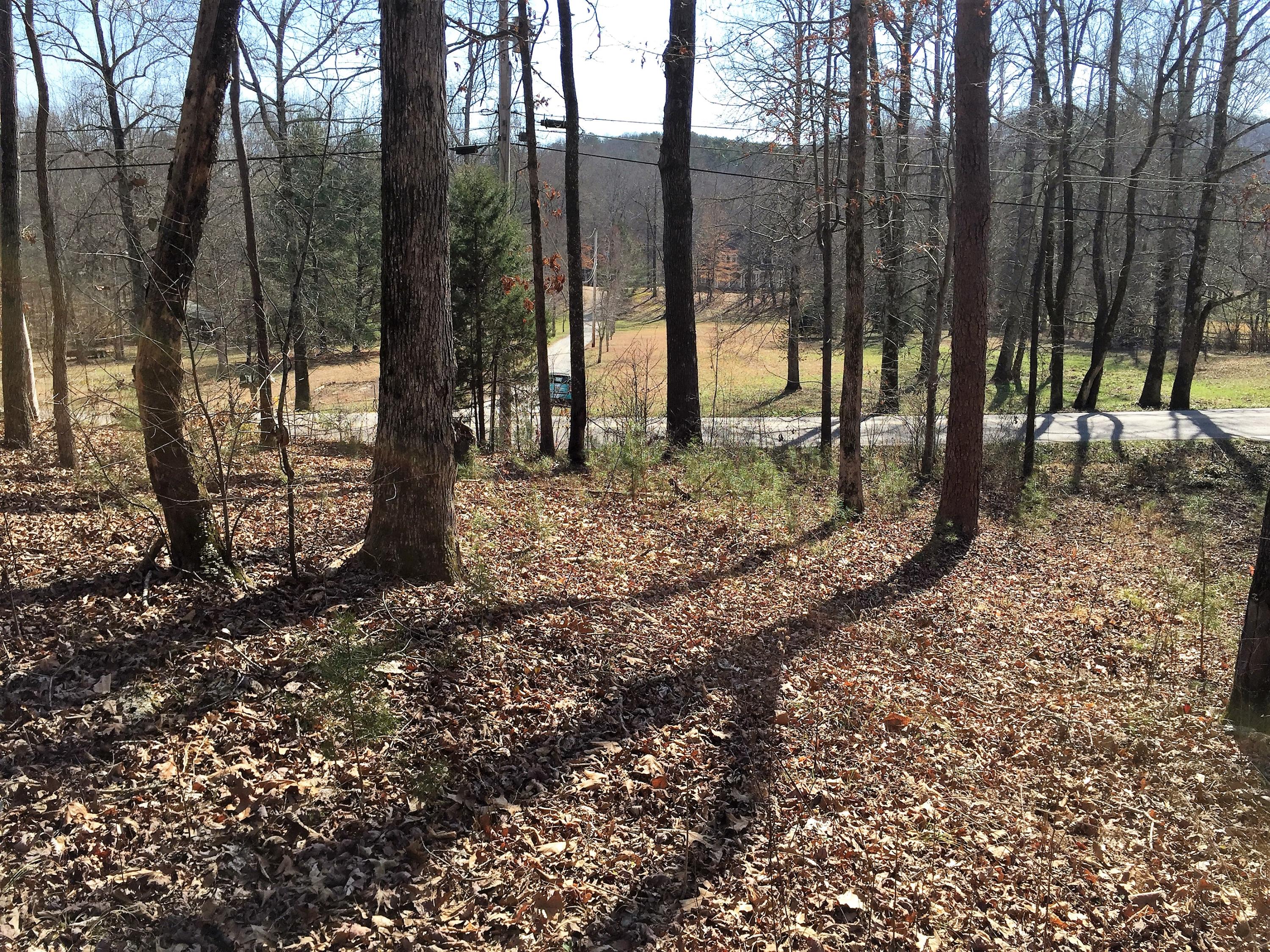 7919 Selcer Road, Unit 5 Hixson, TN 37343 - Photo 3 of 8 IMG_0170 (2)