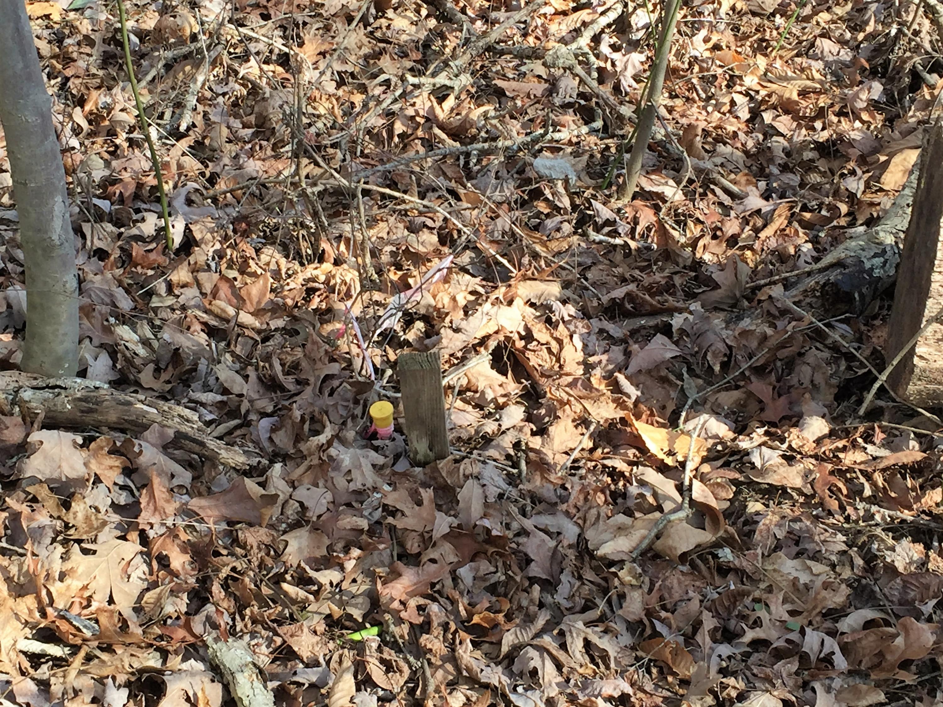 7919 Selcer Road, Unit 5 Hixson, TN 37343 - Photo 7 of 8 IMG_0178 (2)