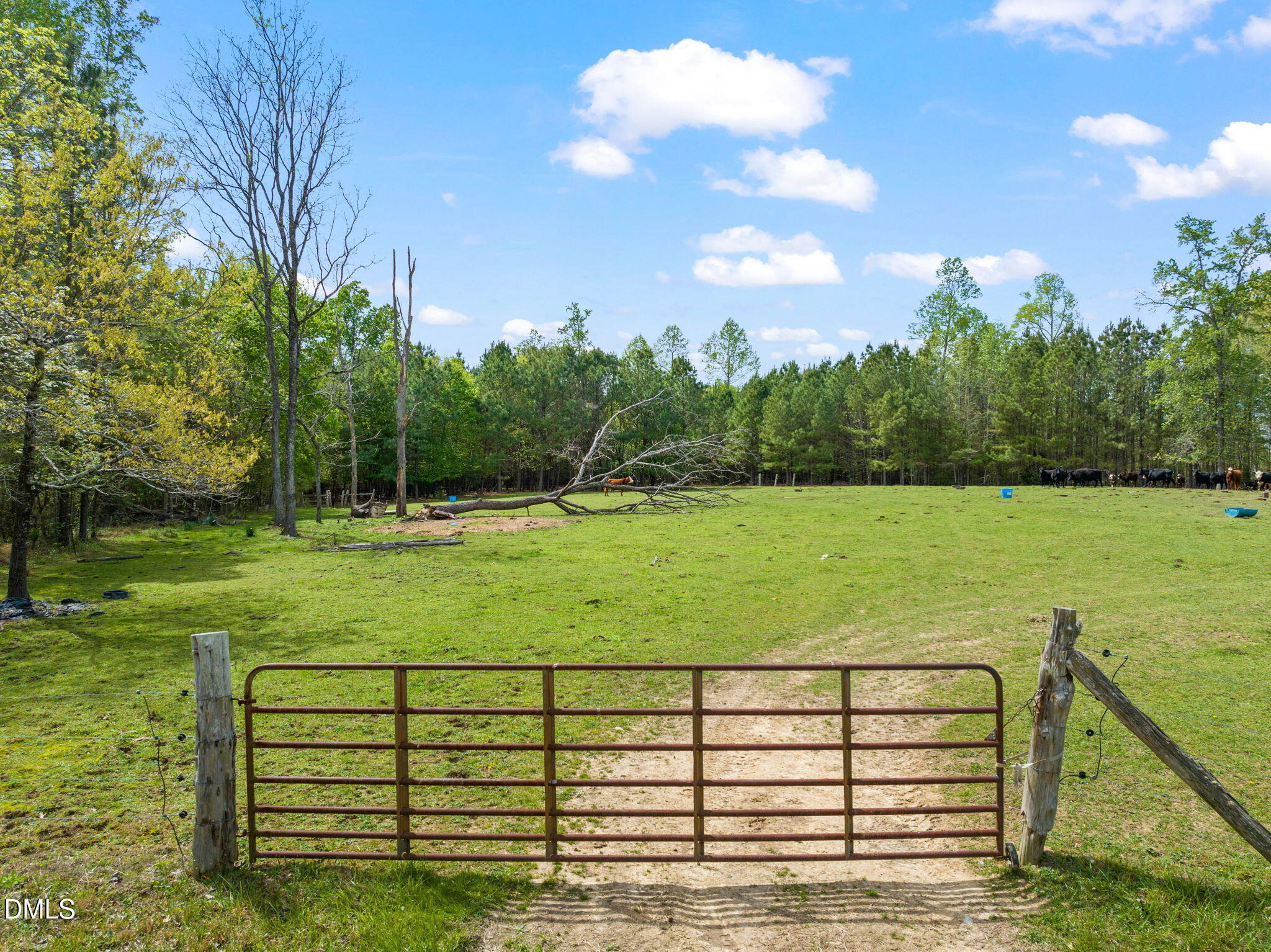 3720 Martin Road Efland, NC 27243 - Photo 25 of 47 44-web-or-mls-untitled-9