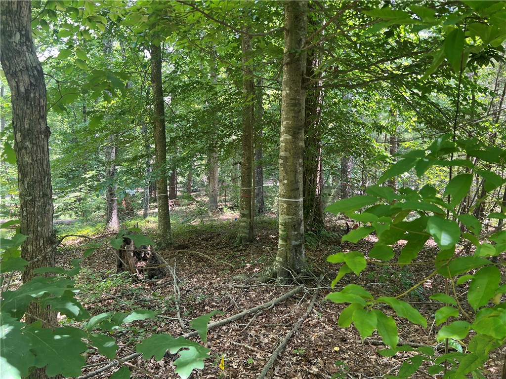 0 Promontory Ridge, Unit LOT 45 STILLWATER Seneca, SC 29672 - Photo 9 of 26