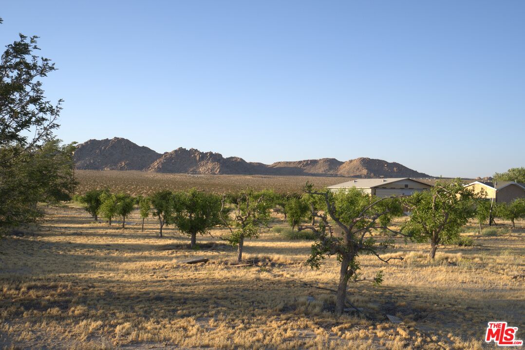 10424 Santa Fe Fire Road Lucerne Valley, CA 92356 - Photo 27 of 33 a view of lake with mountain
