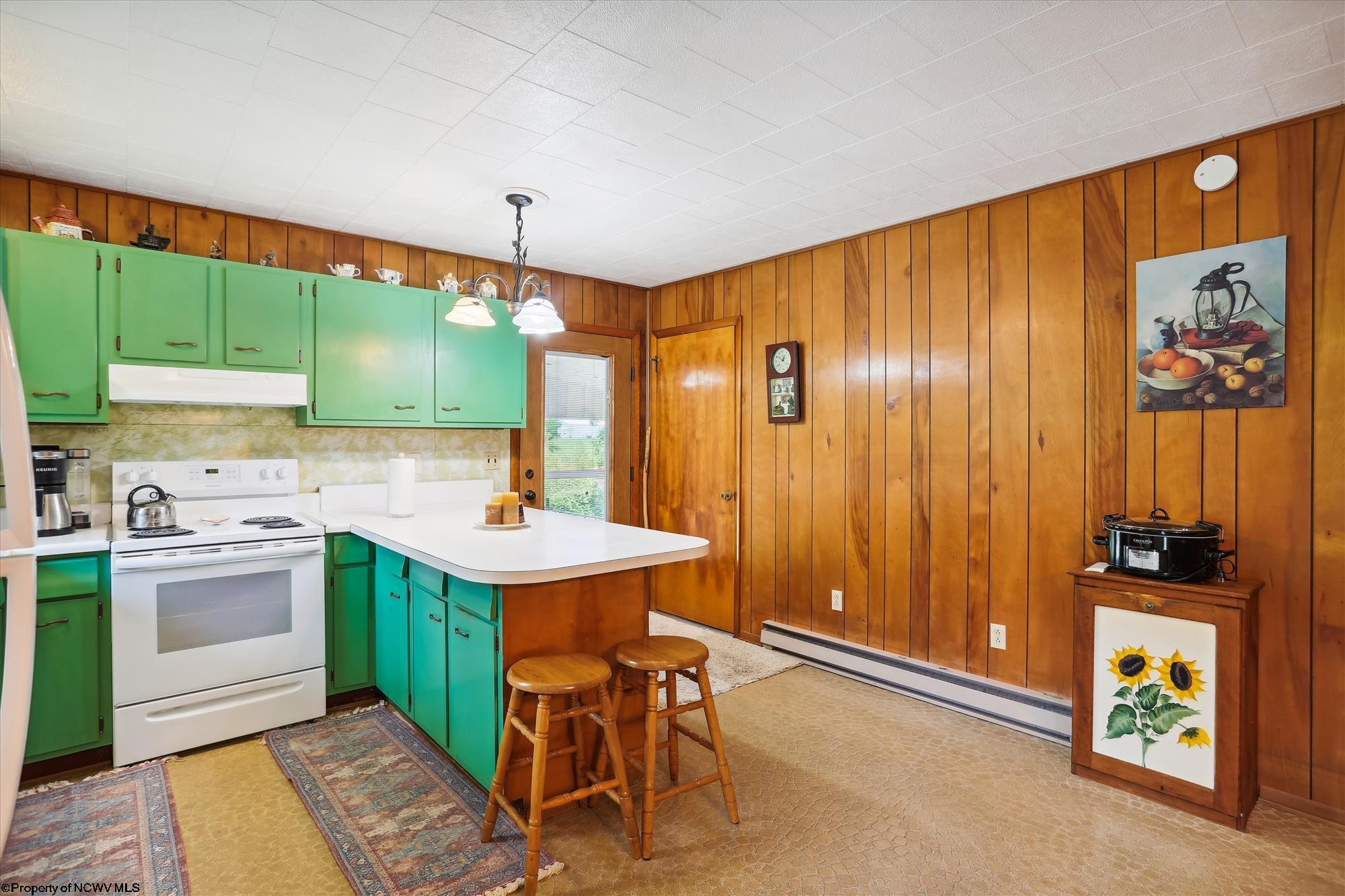 16319 Dry Fork Road Davis, WV 26260 - Photo 3 of 39 Gallery Image 3