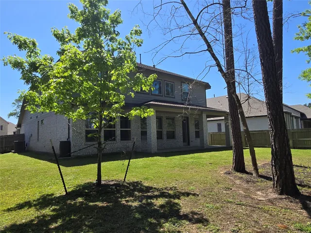 a view of a backyard with a tree