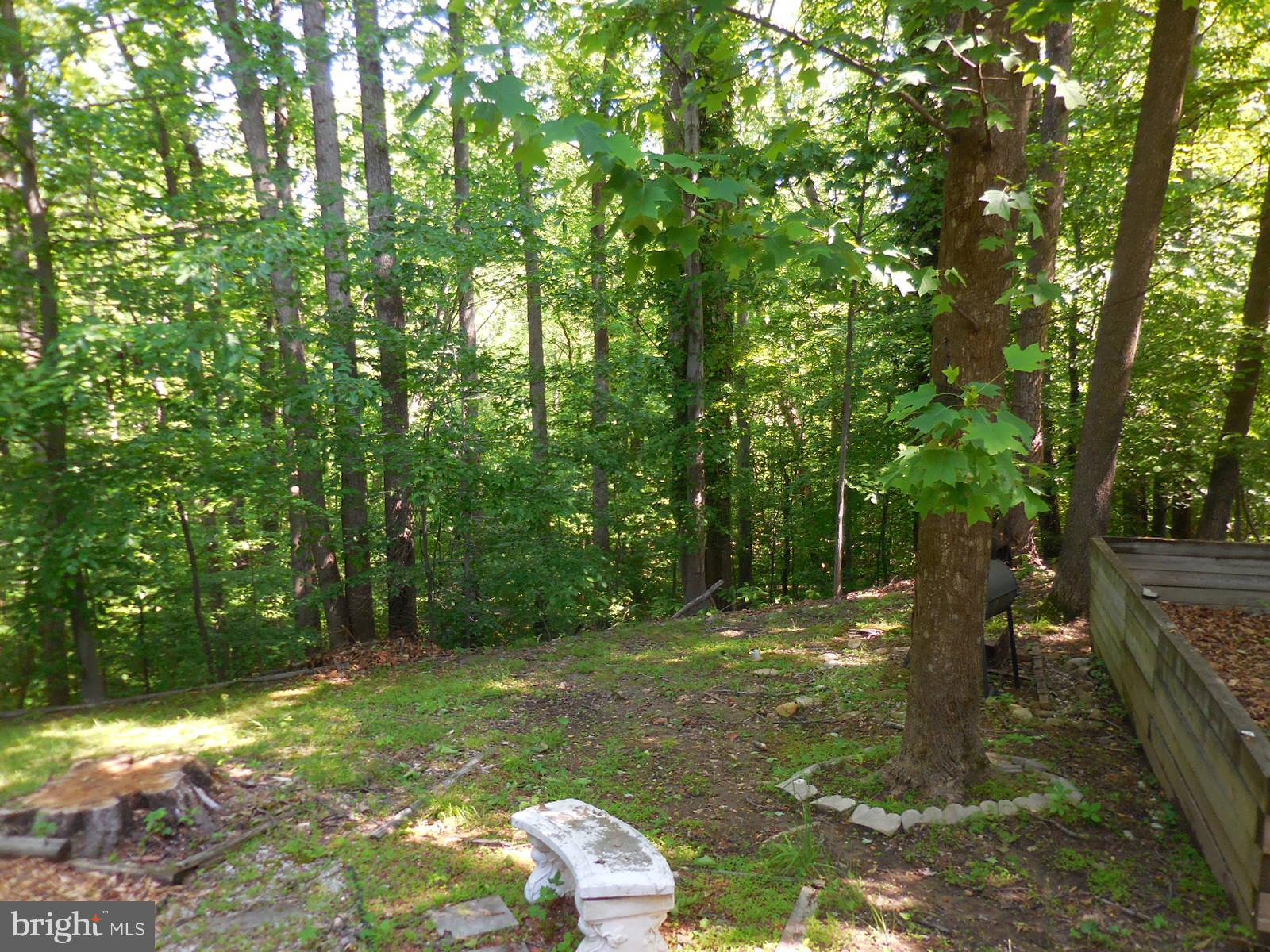 508 Holly Road Fort Washington, MD 20744 - Photo 23 of 29 a backyard of a house with lots of green space