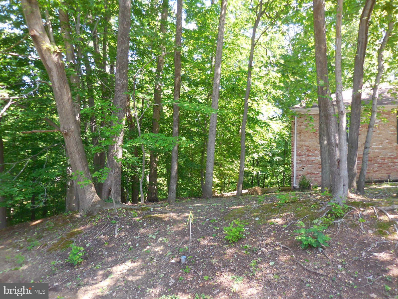508 Holly Road Fort Washington, MD 20744 - Photo 29 of 29 a backyard of a house with lots of green space