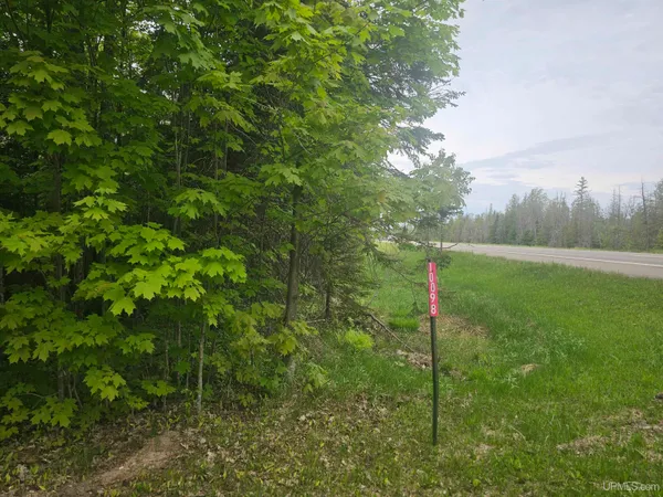 $65,000 | 10098 Us 41 Highway, Skandia, MI 49885