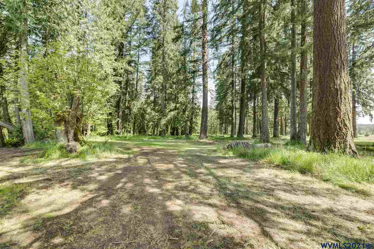 33777 South Dickey Prairie Road Molalla, OR 97038 - Photo 8 of 26