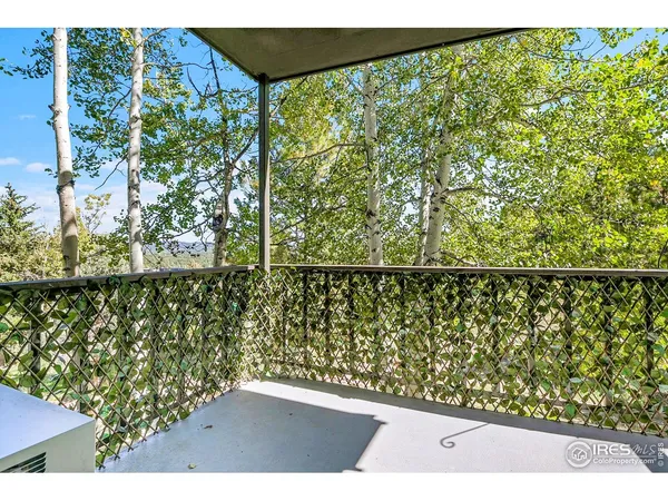 swimming view from window