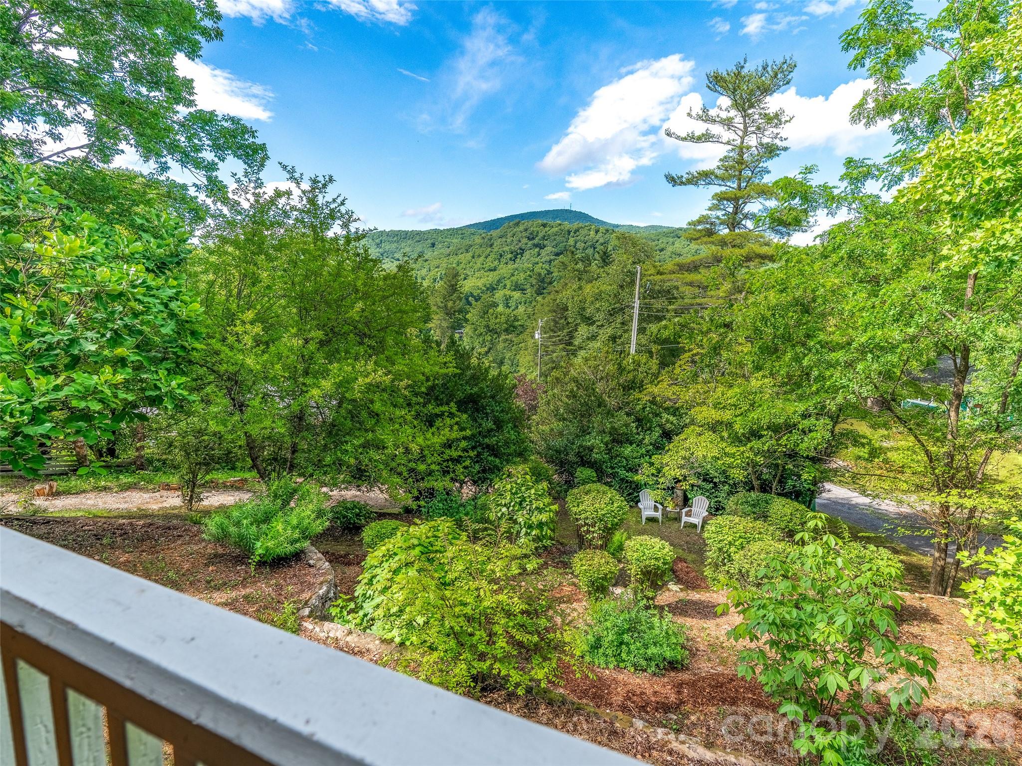 206 Chestnut Hill Road Gerton, NC 28735 - Photo 22 of 48 a view of a yard with flower plants