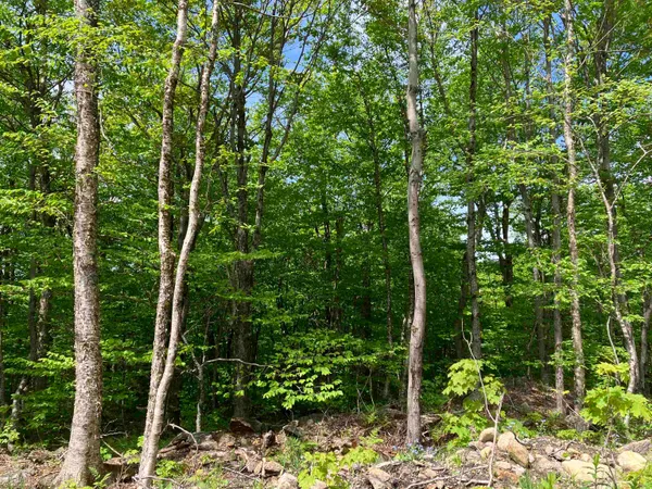 $85,000 | 402 Fox Mt Road, Unit 0CHM402 000 CHM403 000, Wilmington, VT 05363