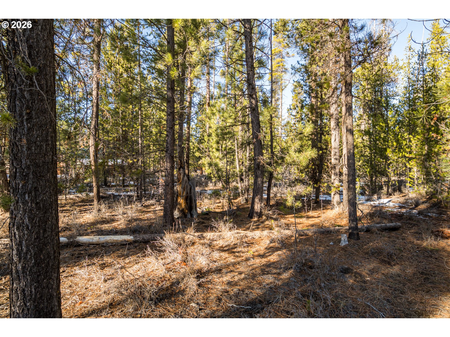 15490 Rainbow Court La Pine, OR 97739 - Photo 6 of 14 a view of outdoor space with trees