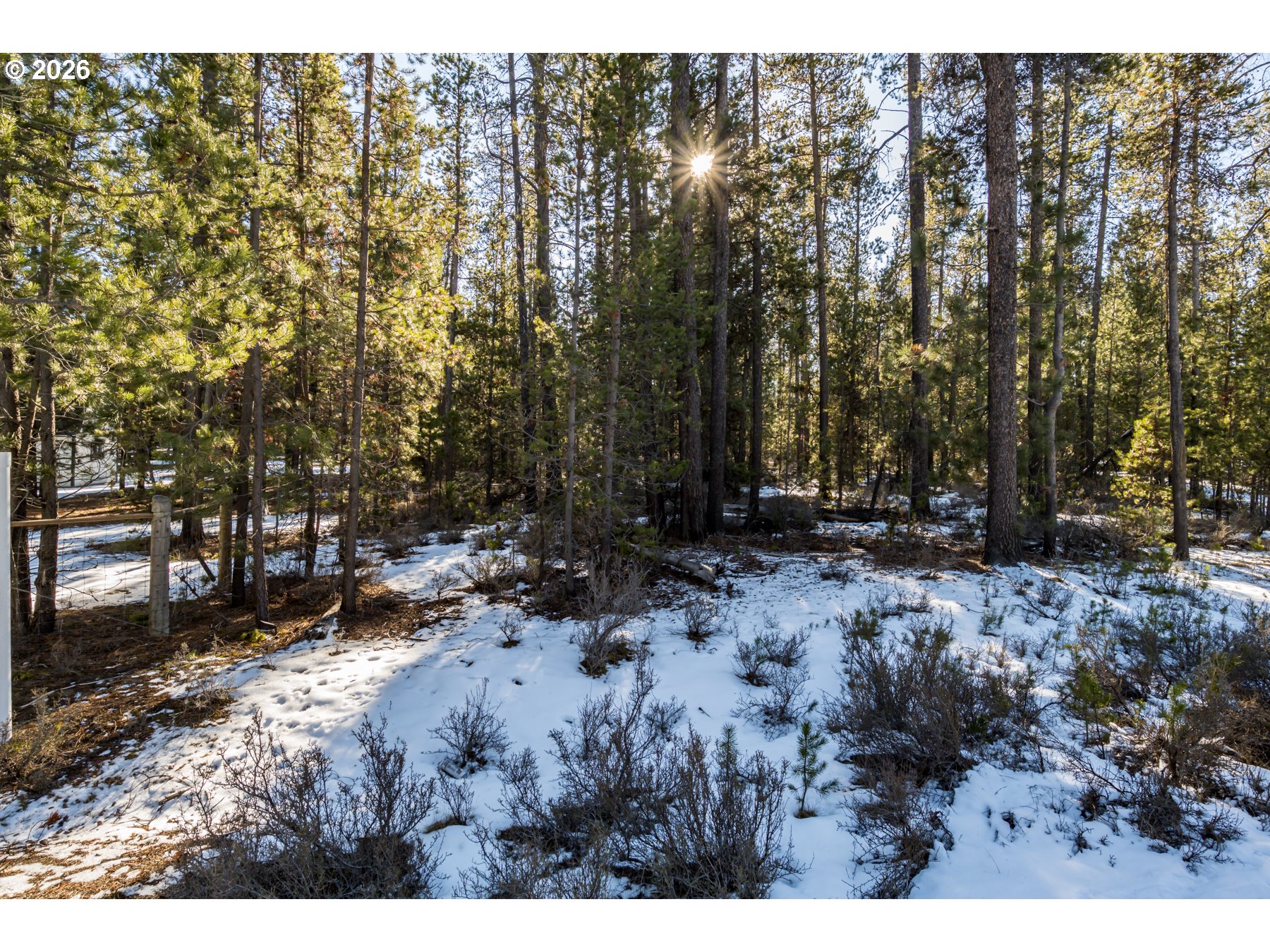 15490 Rainbow Court La Pine, OR 97739 - Photo 7 of 14 a view of outdoor space with trees