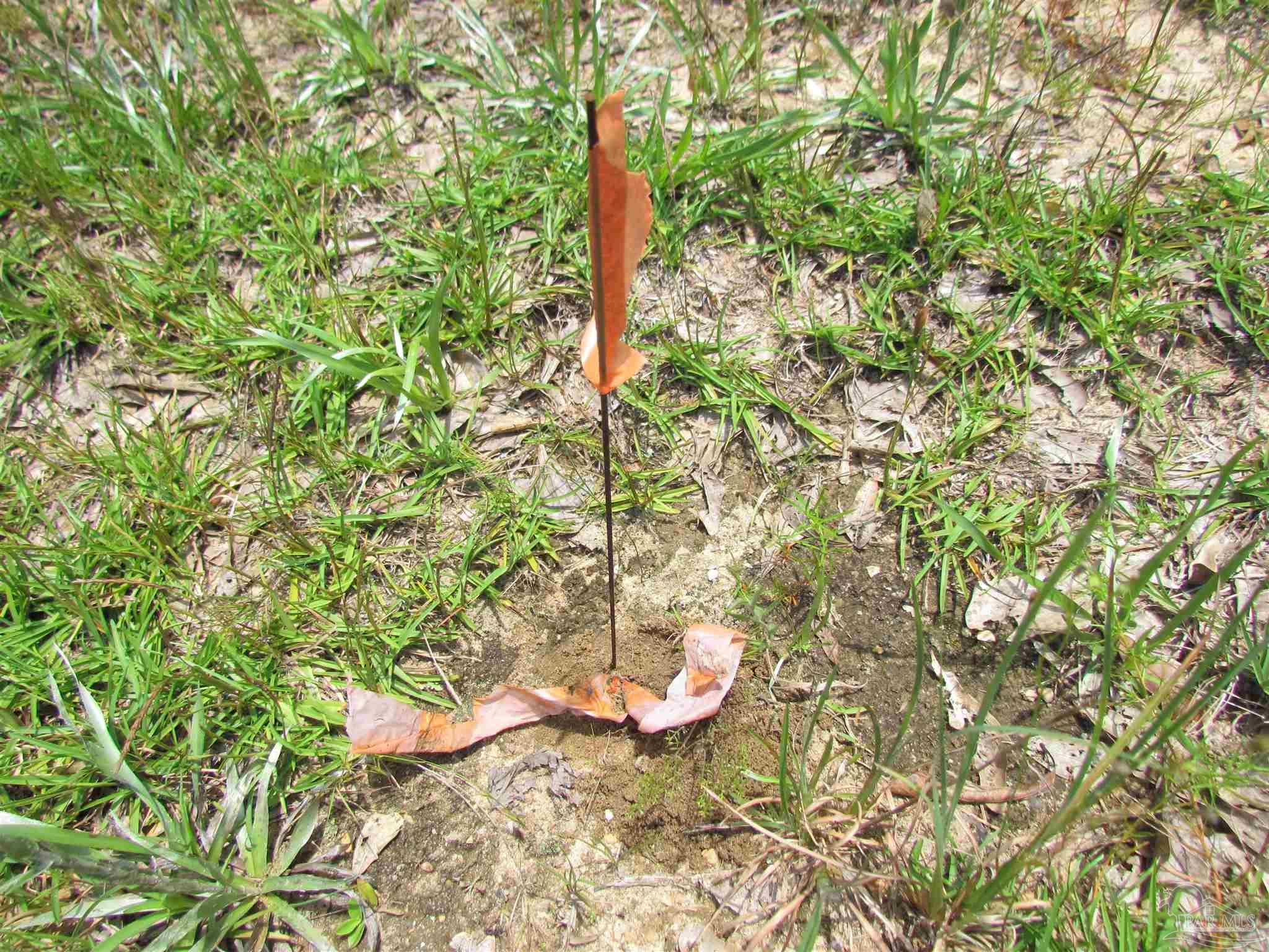 874 Jacobs Way Cantonment, FL 32533 - Photo 8 of 8