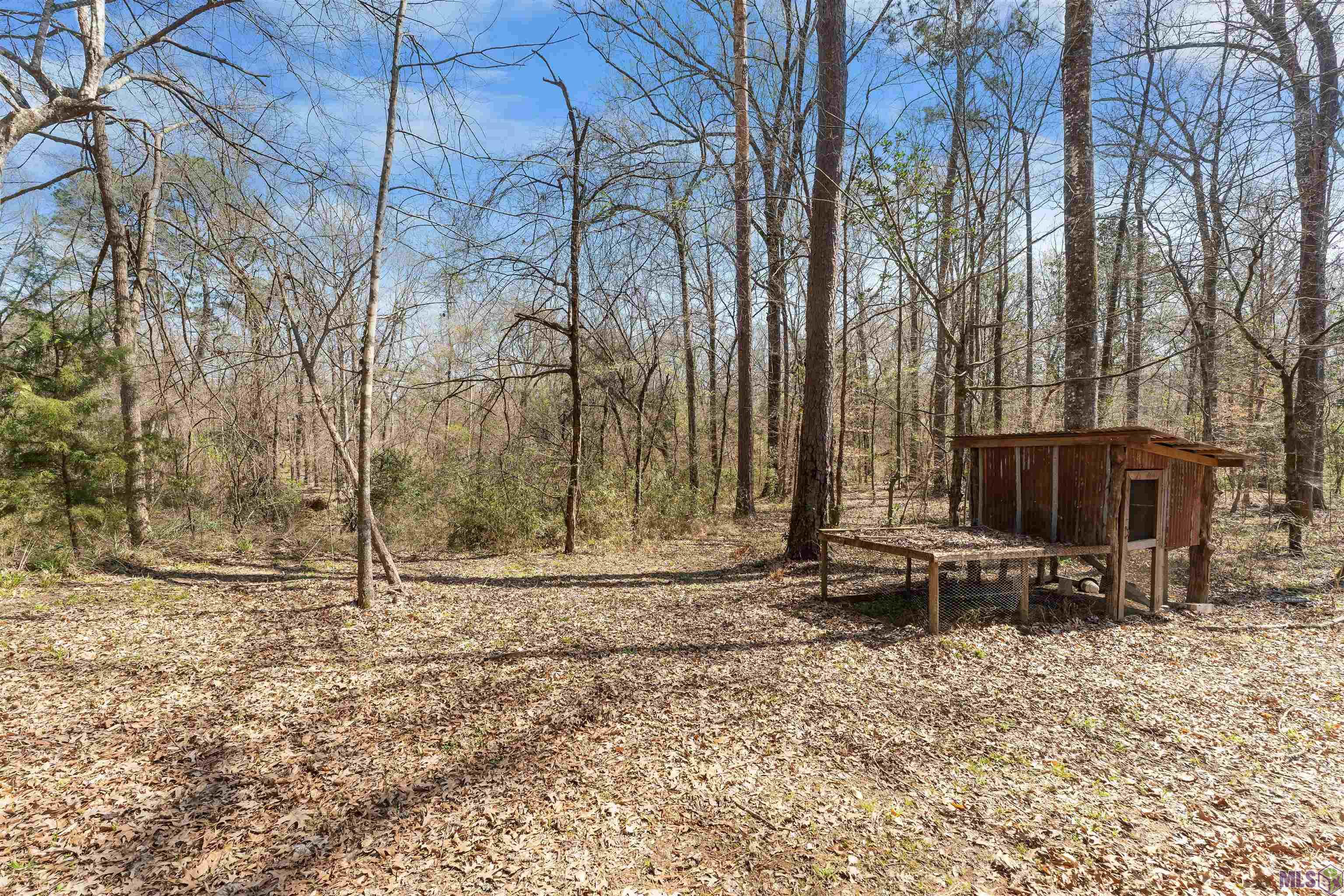 10894 Bains Road St. Francisville, LA 70775 - Photo 34 of 42