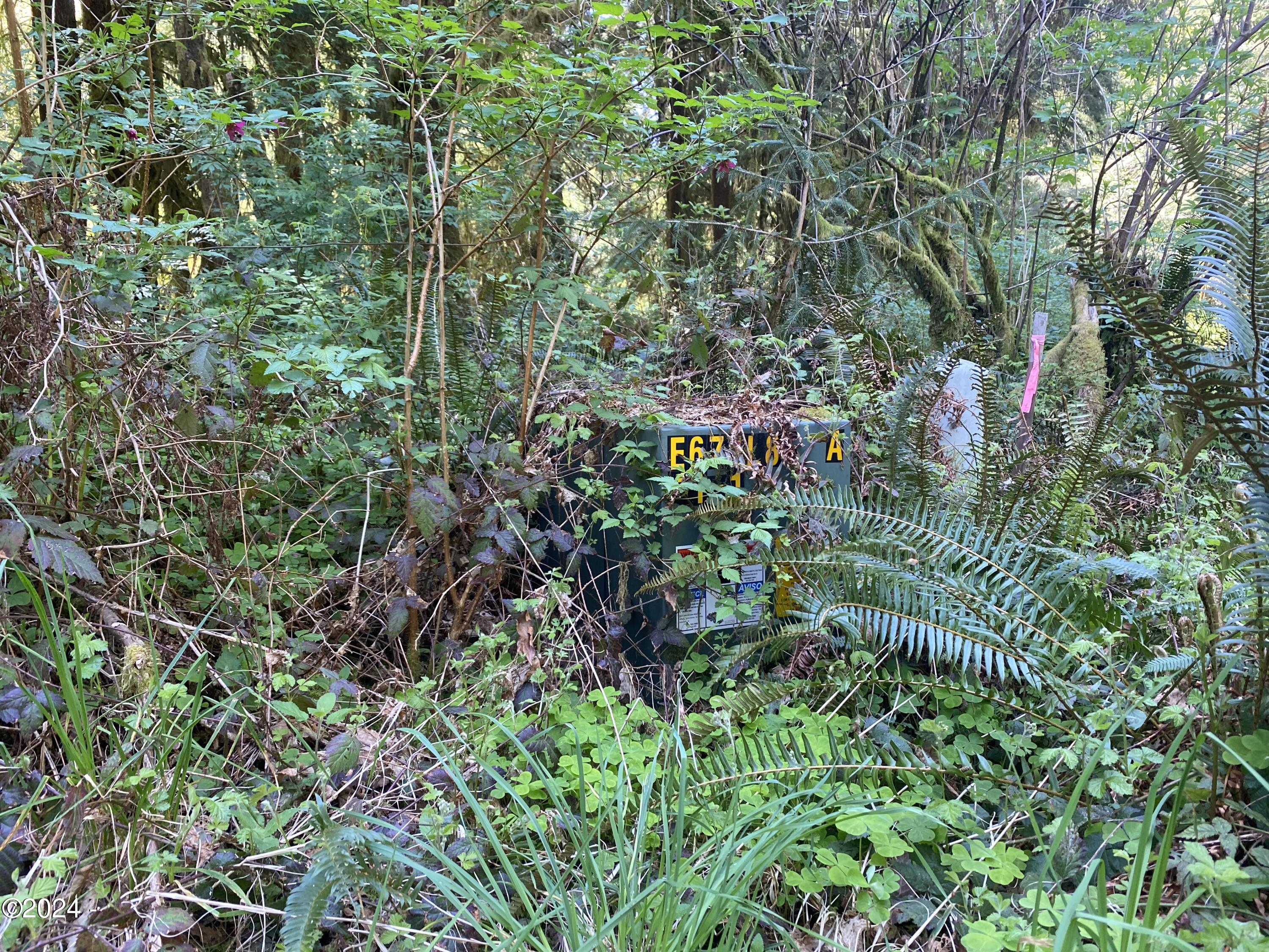 1000 Hamer Road Siletz, OR 97380 - Photo 7 of 11 Electrical Box