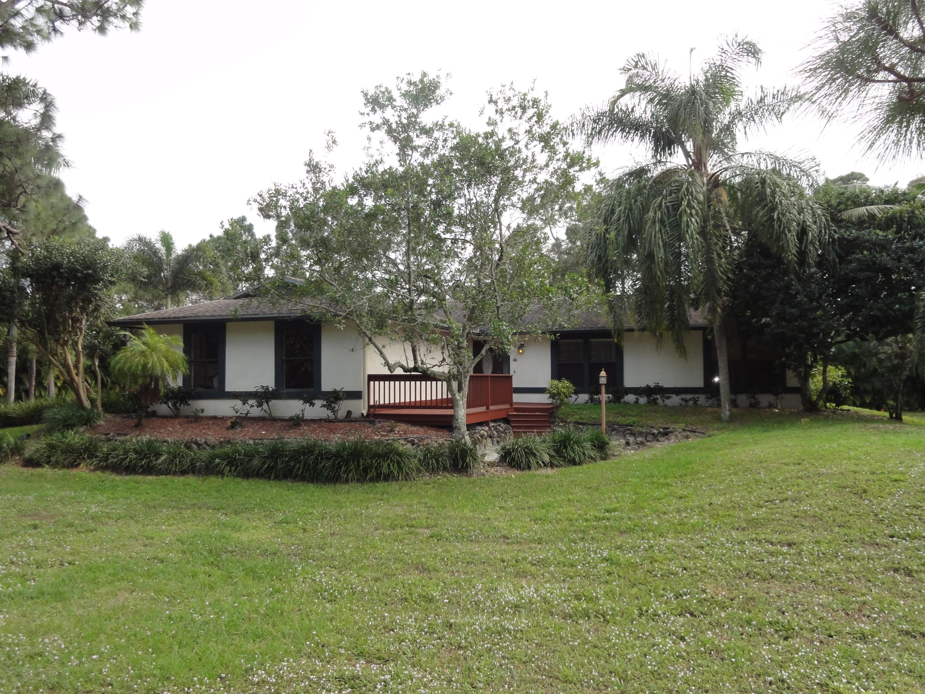 Front View