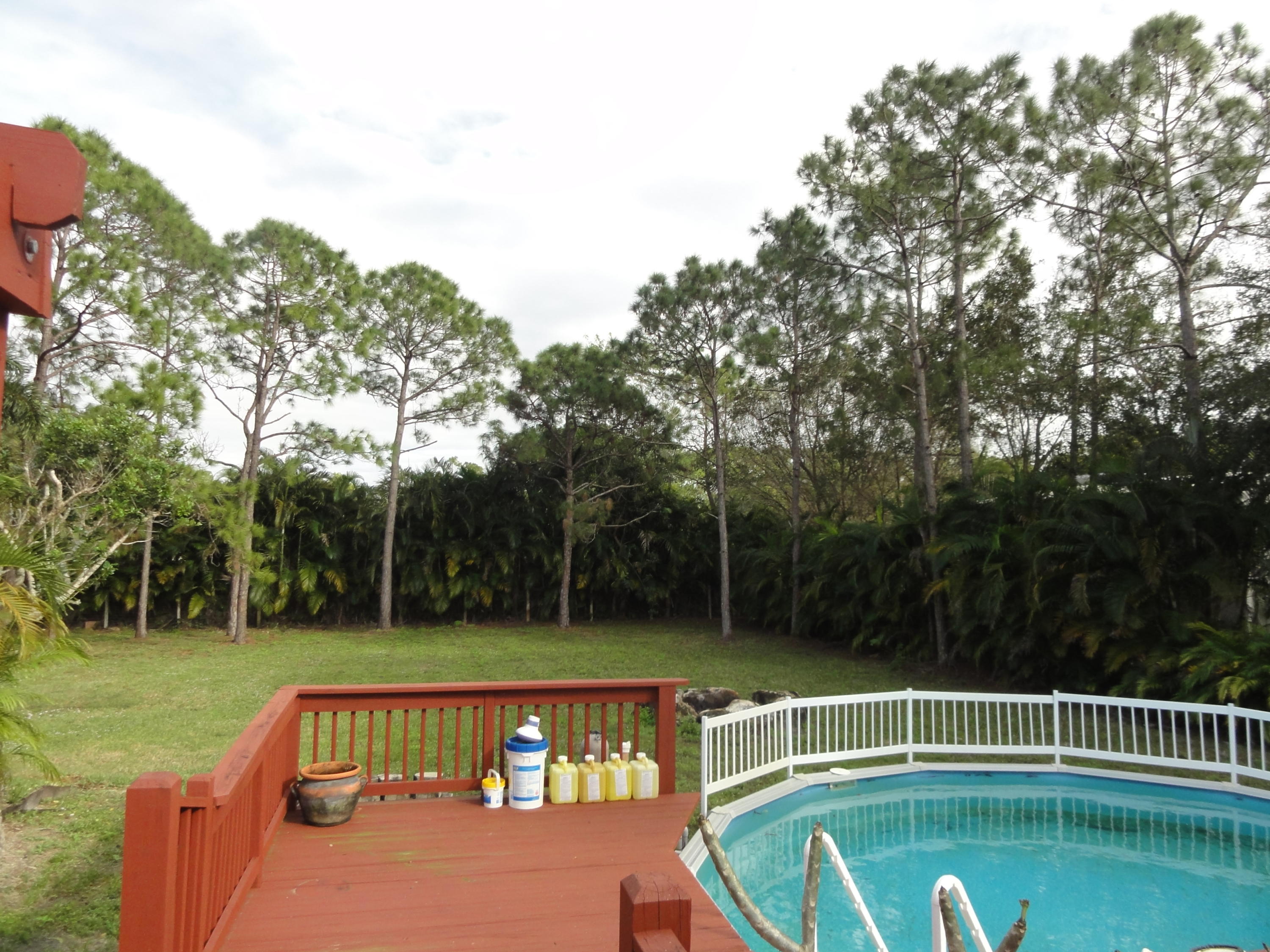 17368 41st Road North Loxahatchee, FL 33470 - Photo 19 of 21 Backyard with Pool