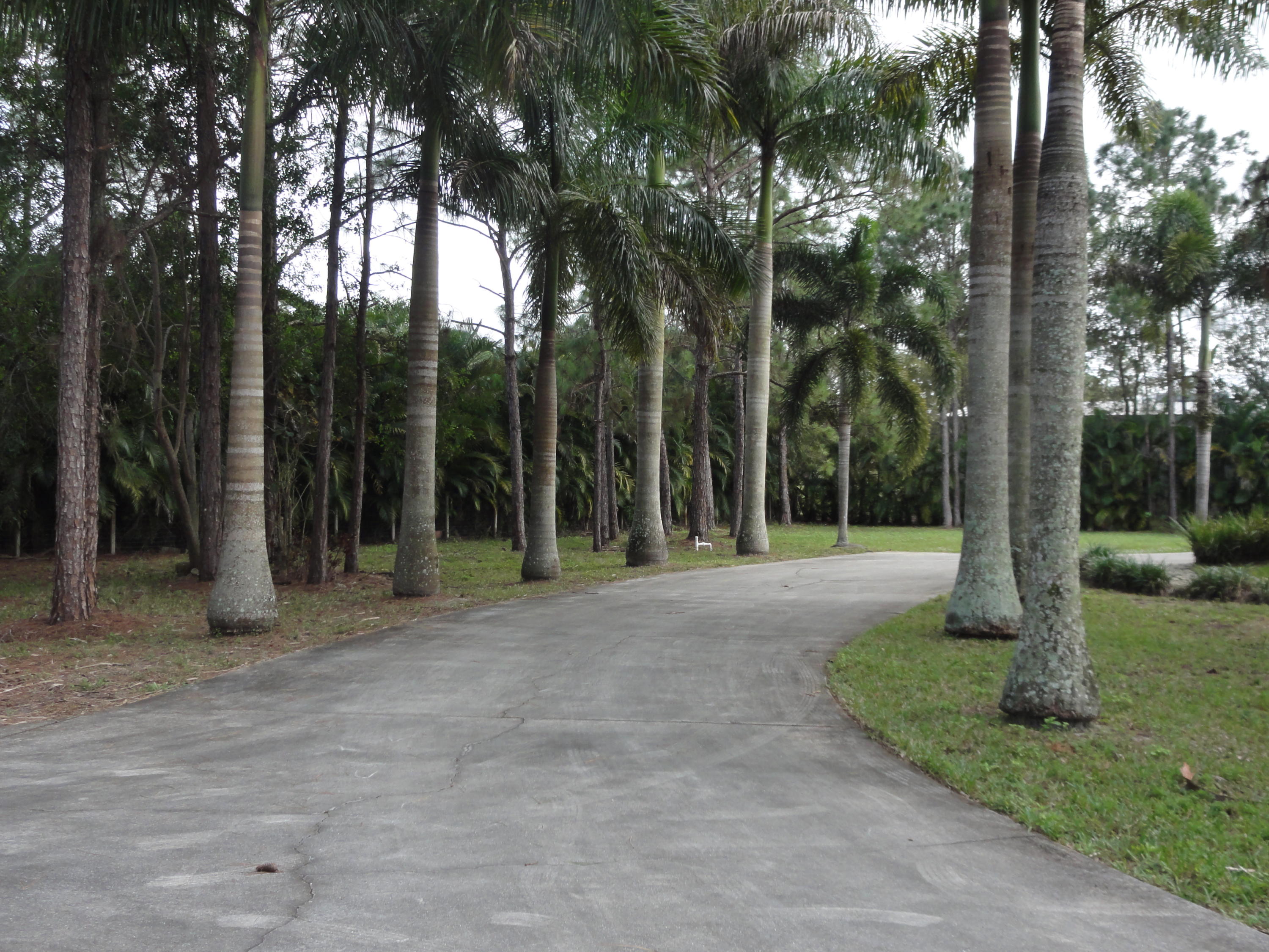 17368 41st Road North Loxahatchee, FL 33470 - Photo 3 of 21 Long Entrance Driveway